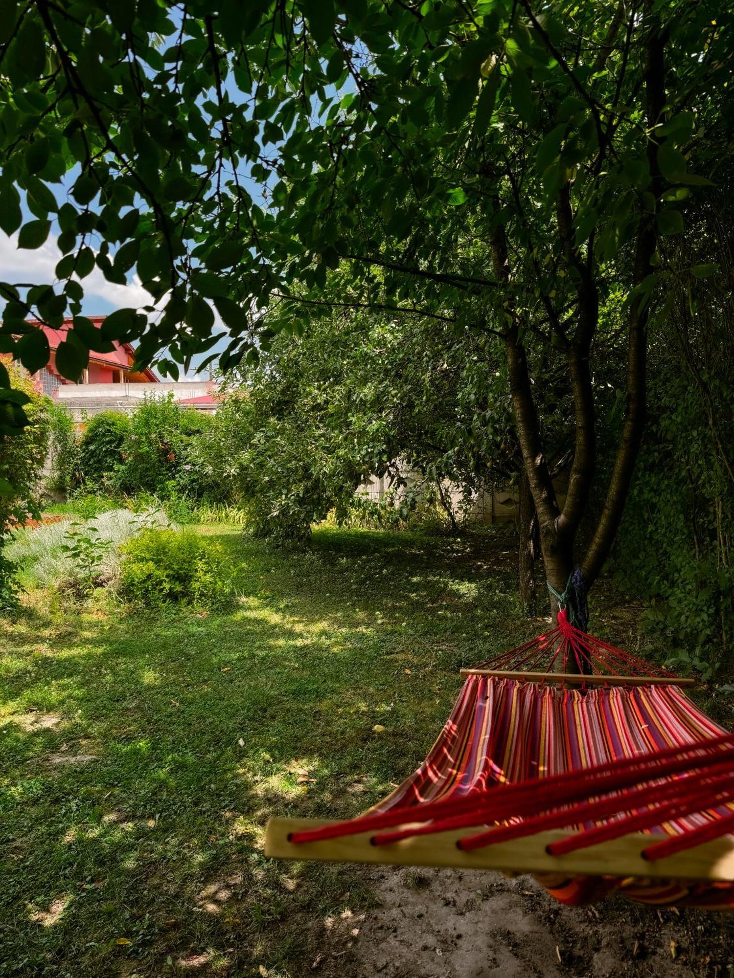 Pensiunea Vila Silva I Haţeg Zewnętrze zdjęcie
