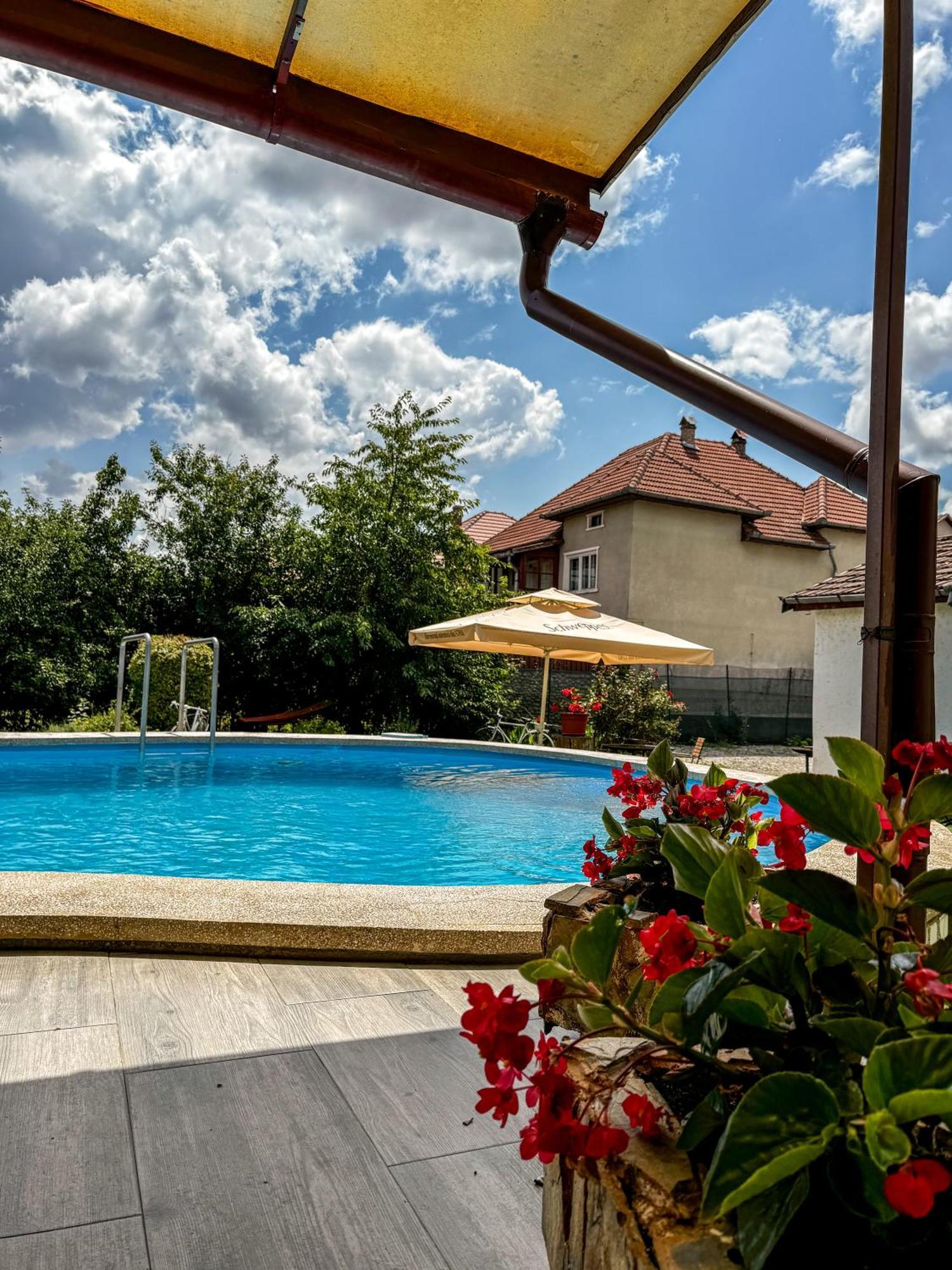 Pensiunea Vila Silva I Haţeg Zewnętrze zdjęcie